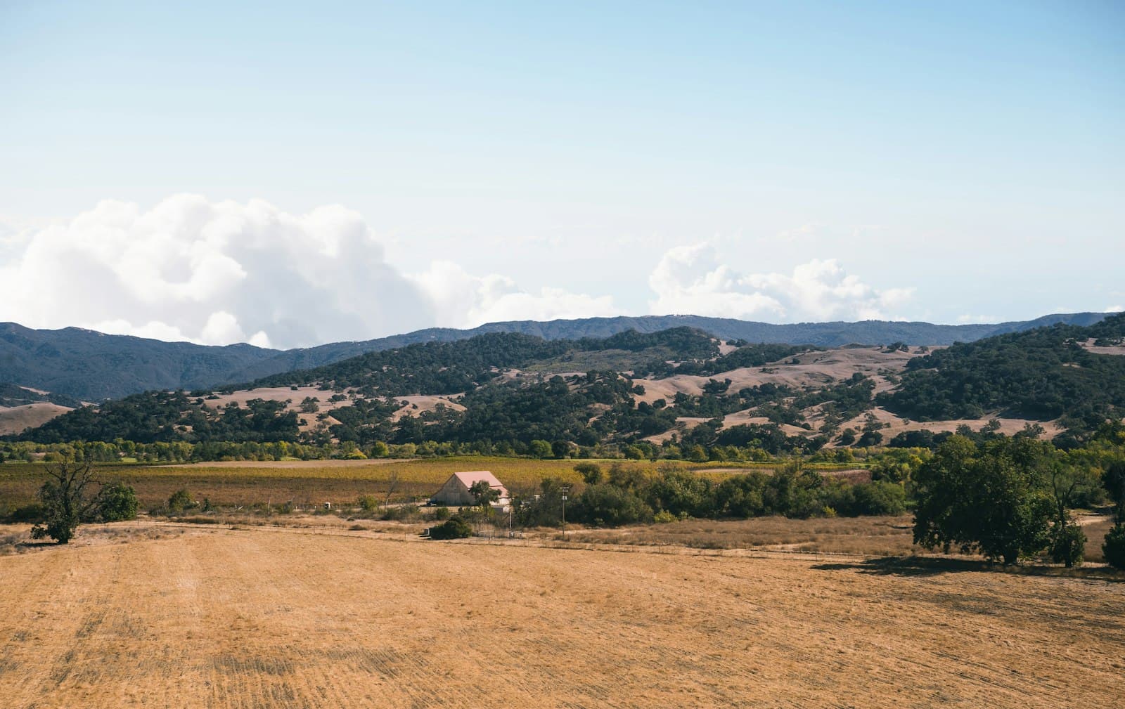 Napa — green grass field near mountain under blue sky during daytime