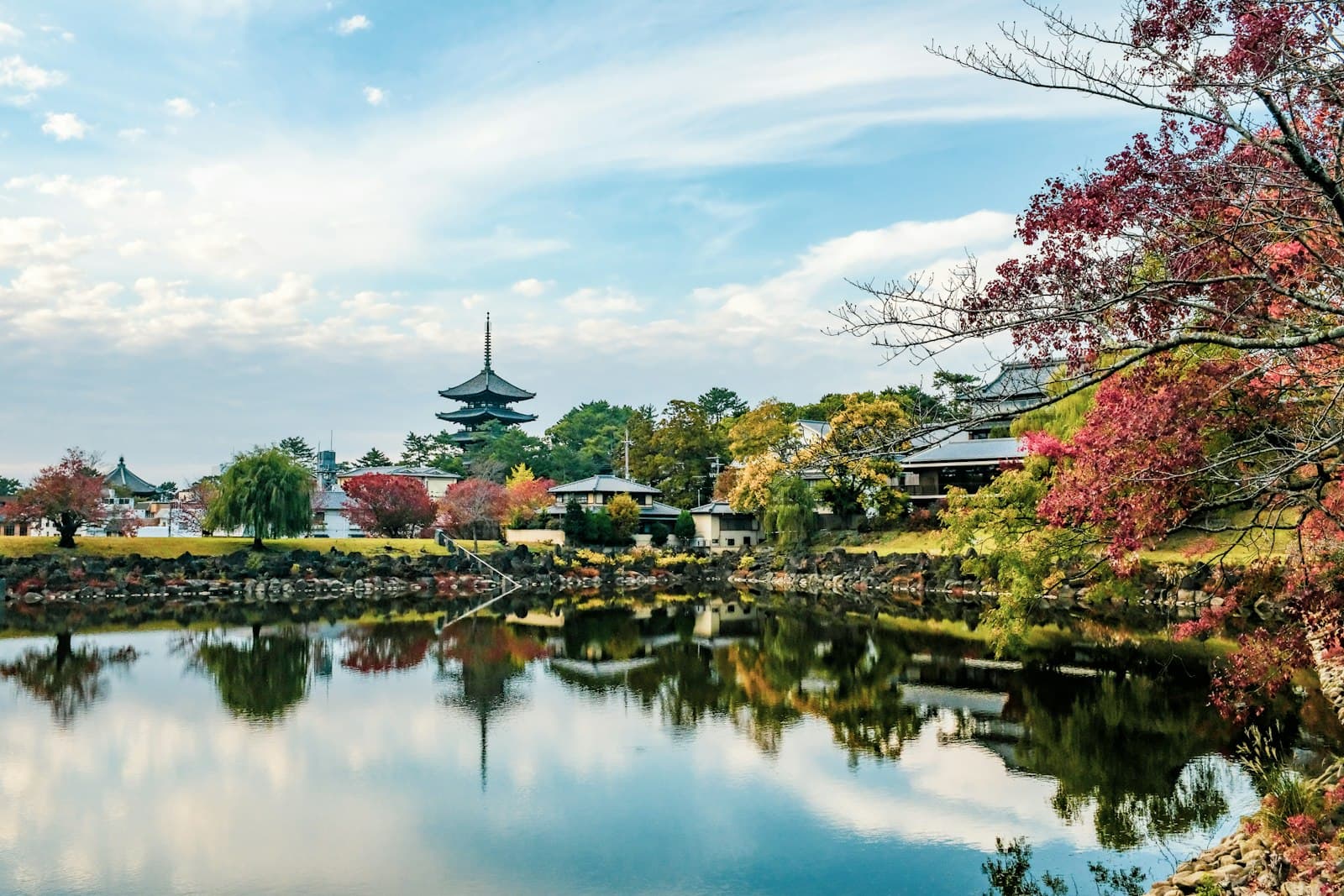 Nara — body of water near green trees under blue sky during daytime