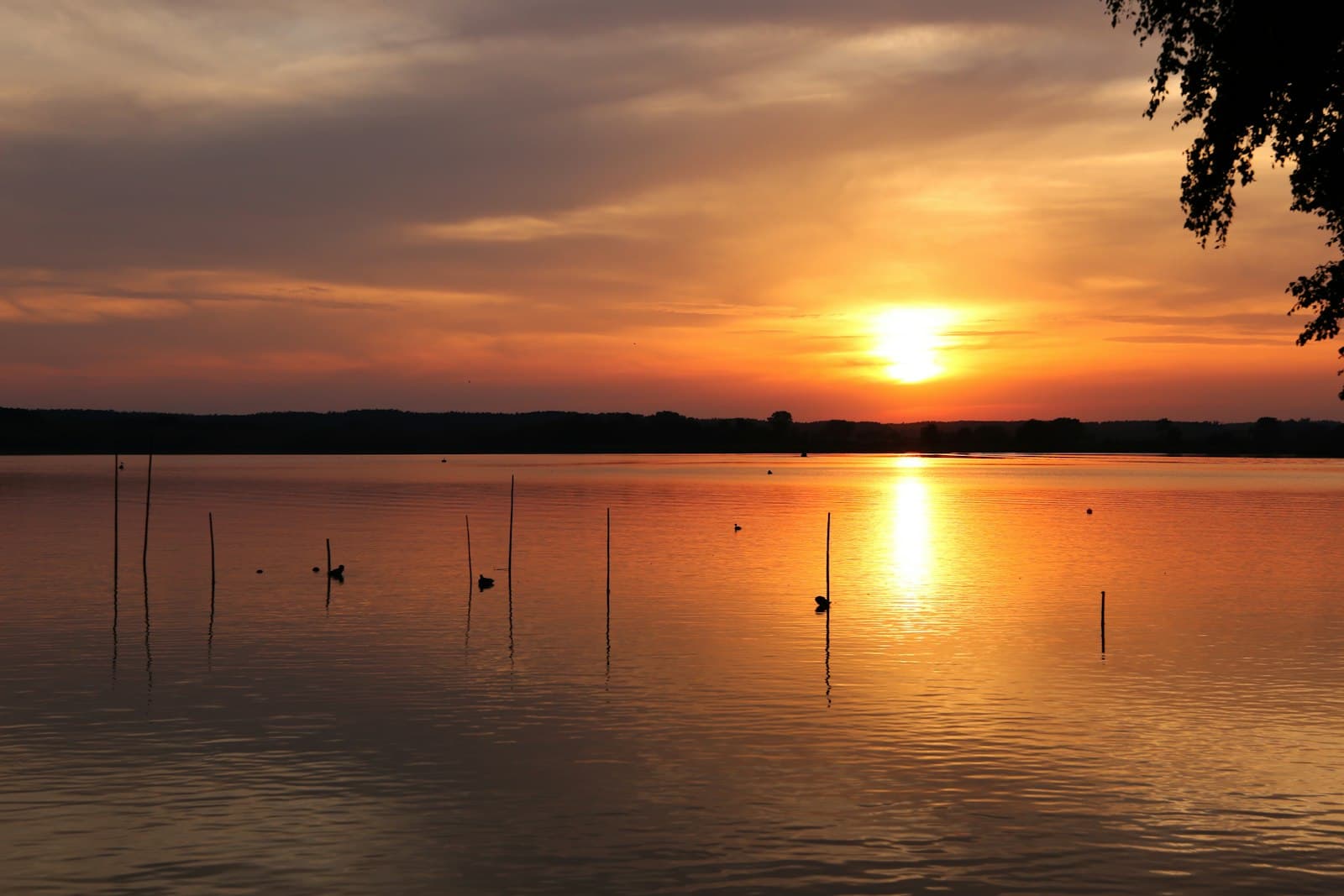 Neustrelitz — body of water during golden hour