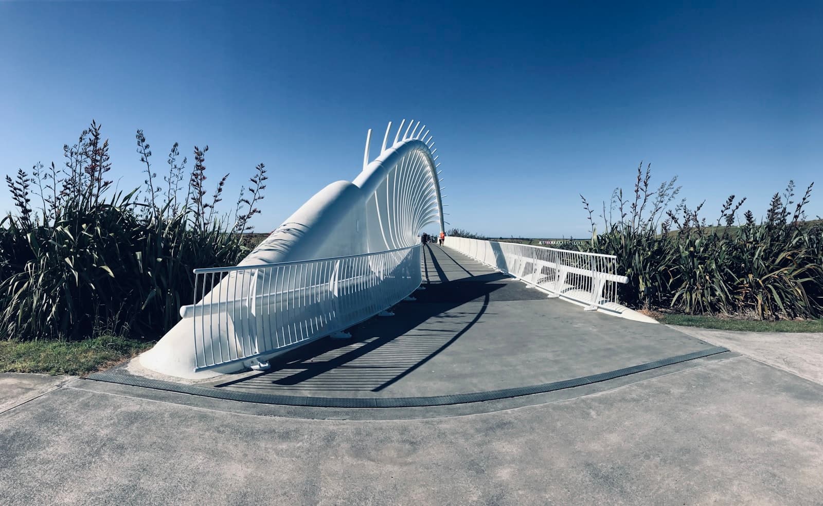 New Plymouth — a curved walkway with a white bridge in the background