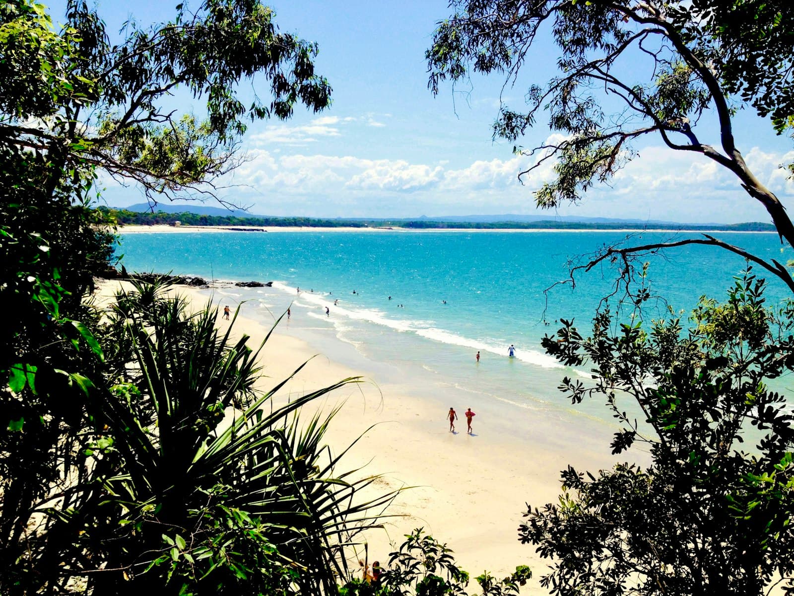Noosa Heads — people on beach during daytime