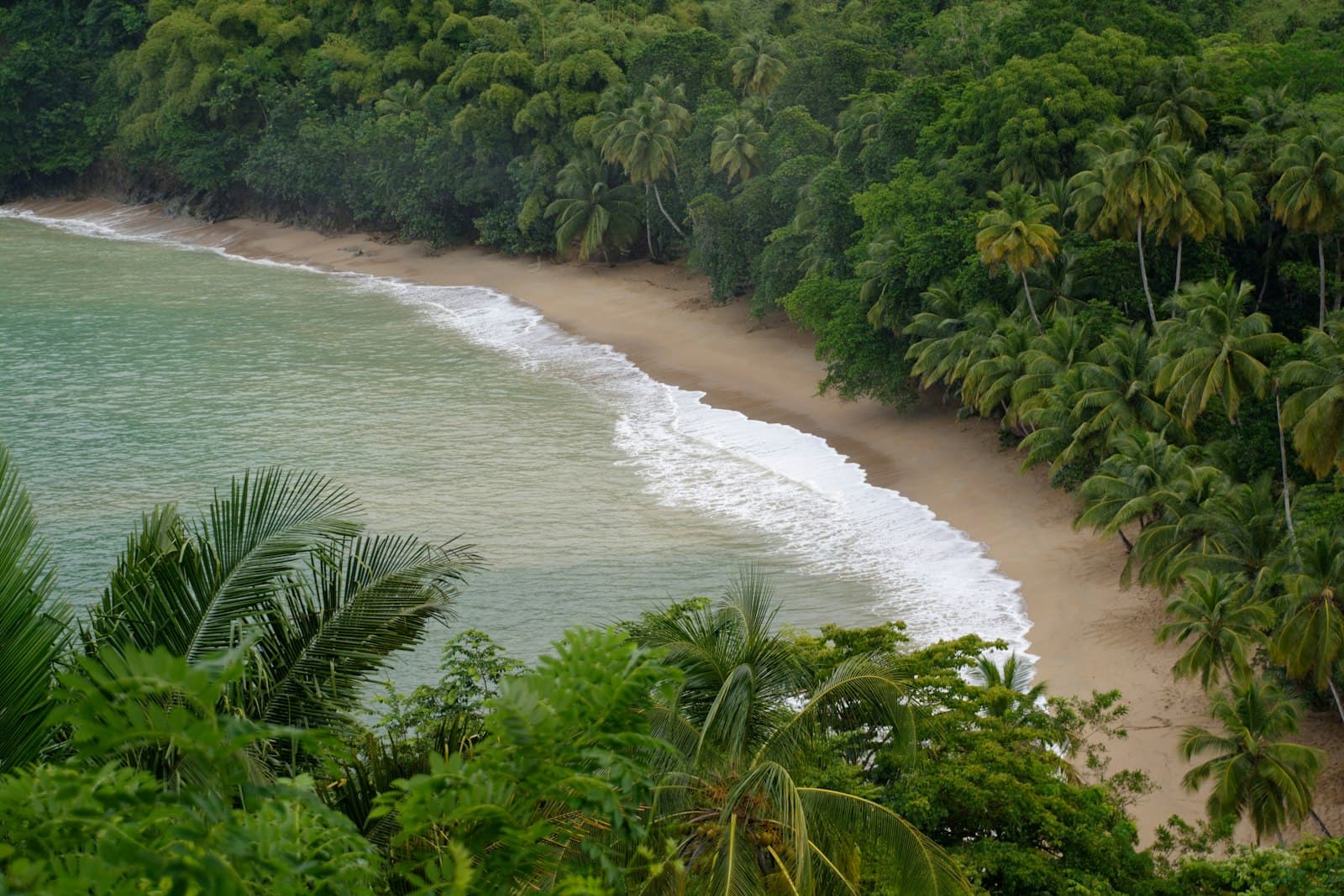 Nosara — green trees beside body of water during daytime