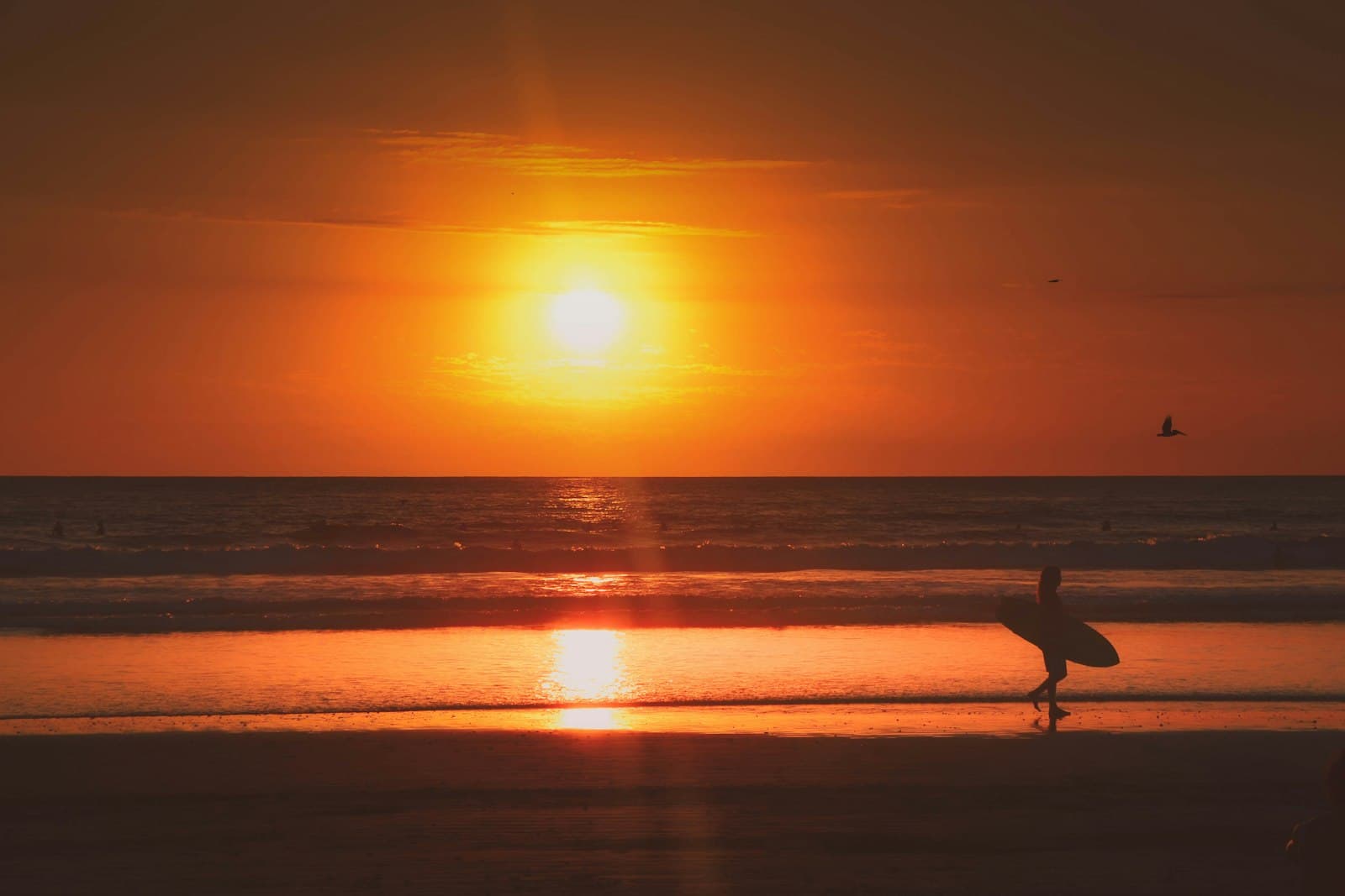 Nosara — silhouette of person holding surfboard walking on beach during sunset