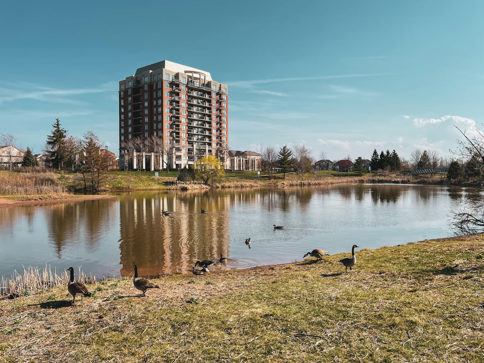 Oakville — body of water near trees and buildings during daytime