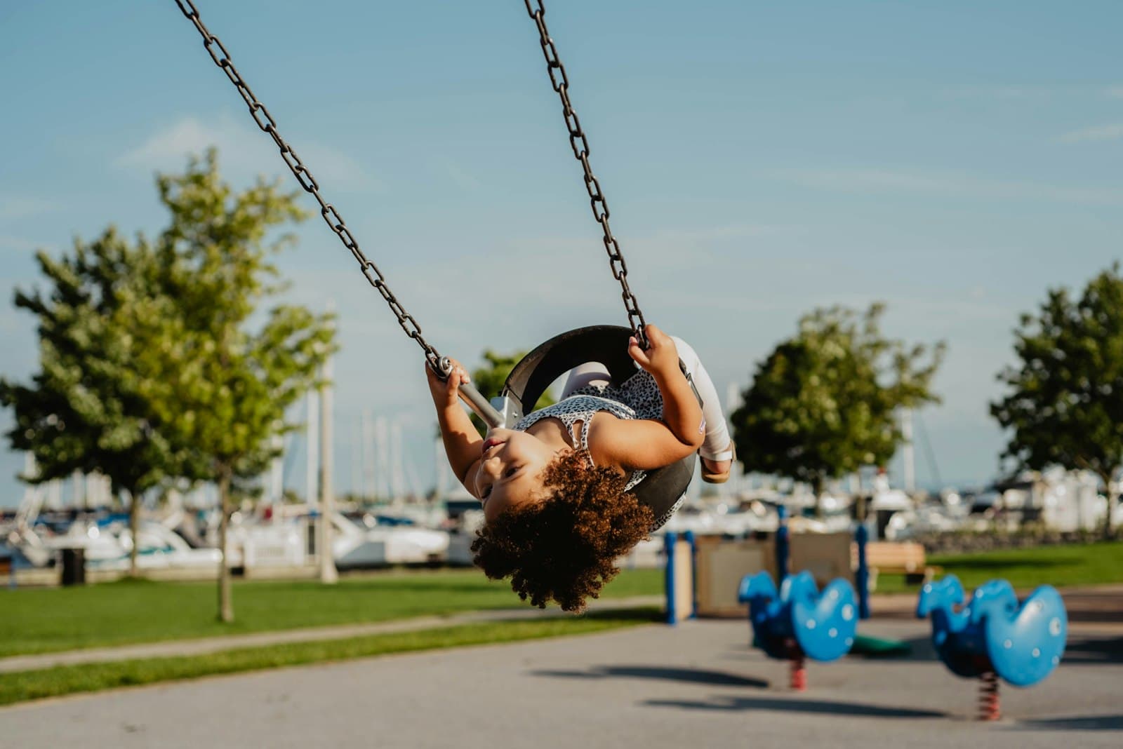 Oakville — gray swing chair