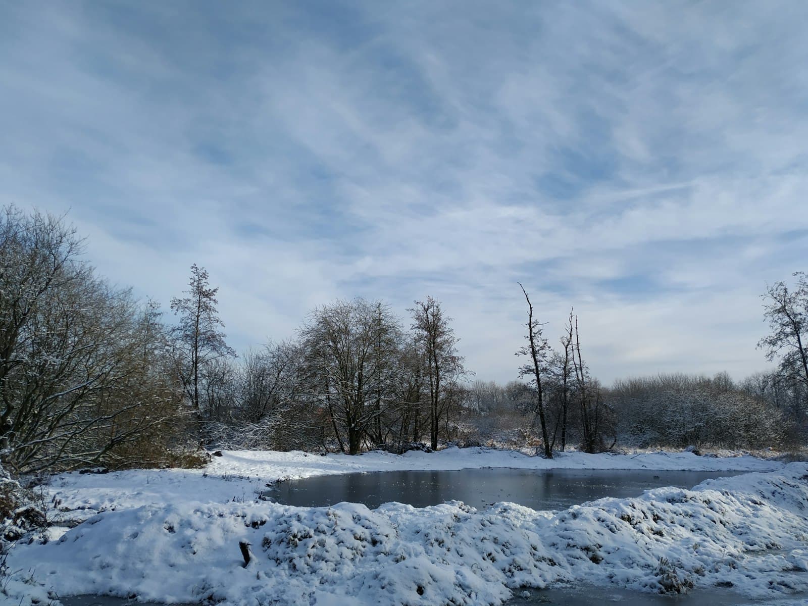 Oldenburg — bare trees on snow covered ground under blue and white cloudy sky during daytime