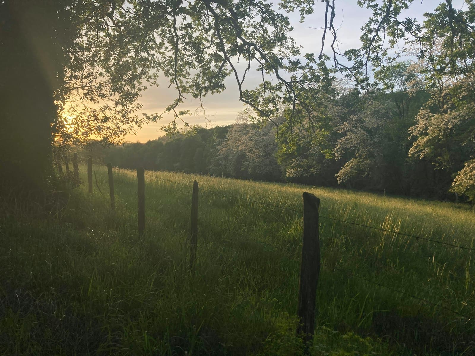 Oloron-Sainte-Marie — A field with a fence and trees in the background