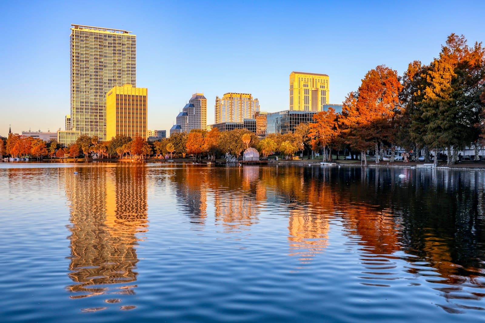 Orlando — green trees near body of water during daytime