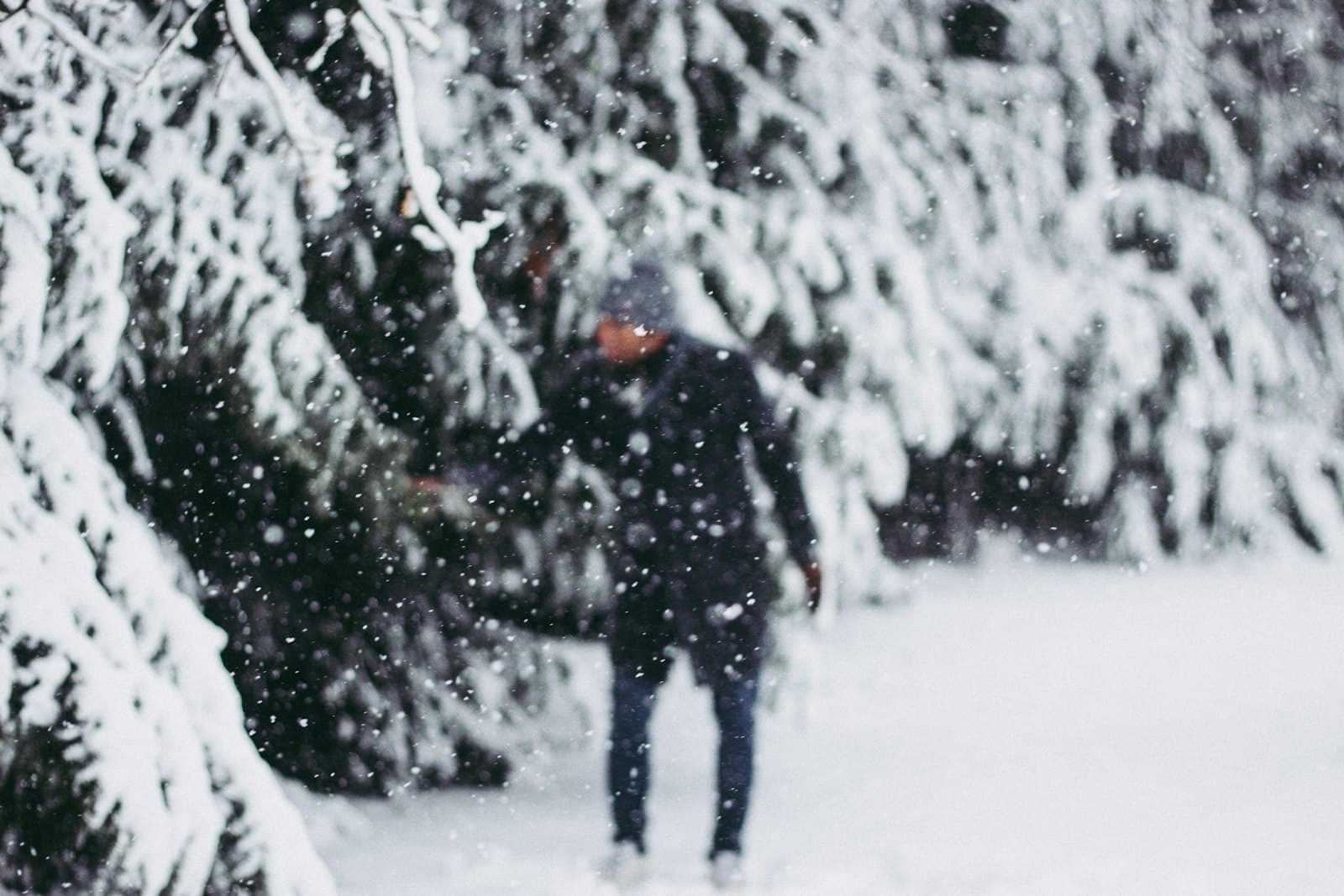 Oss — person wearing black jacket standing beside trees covered by snow