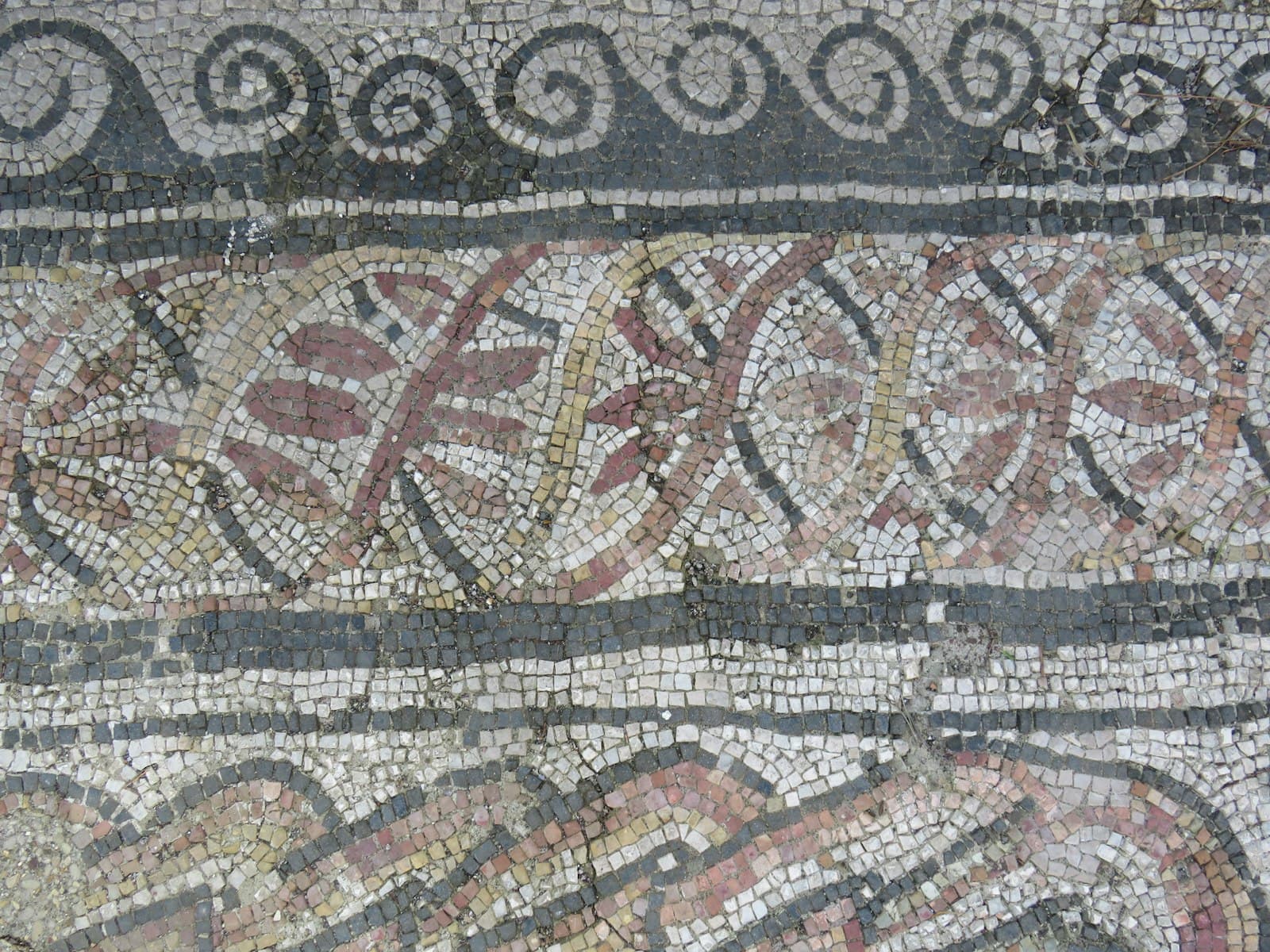 Ostia Antica — a close up of a mosaic on a wall