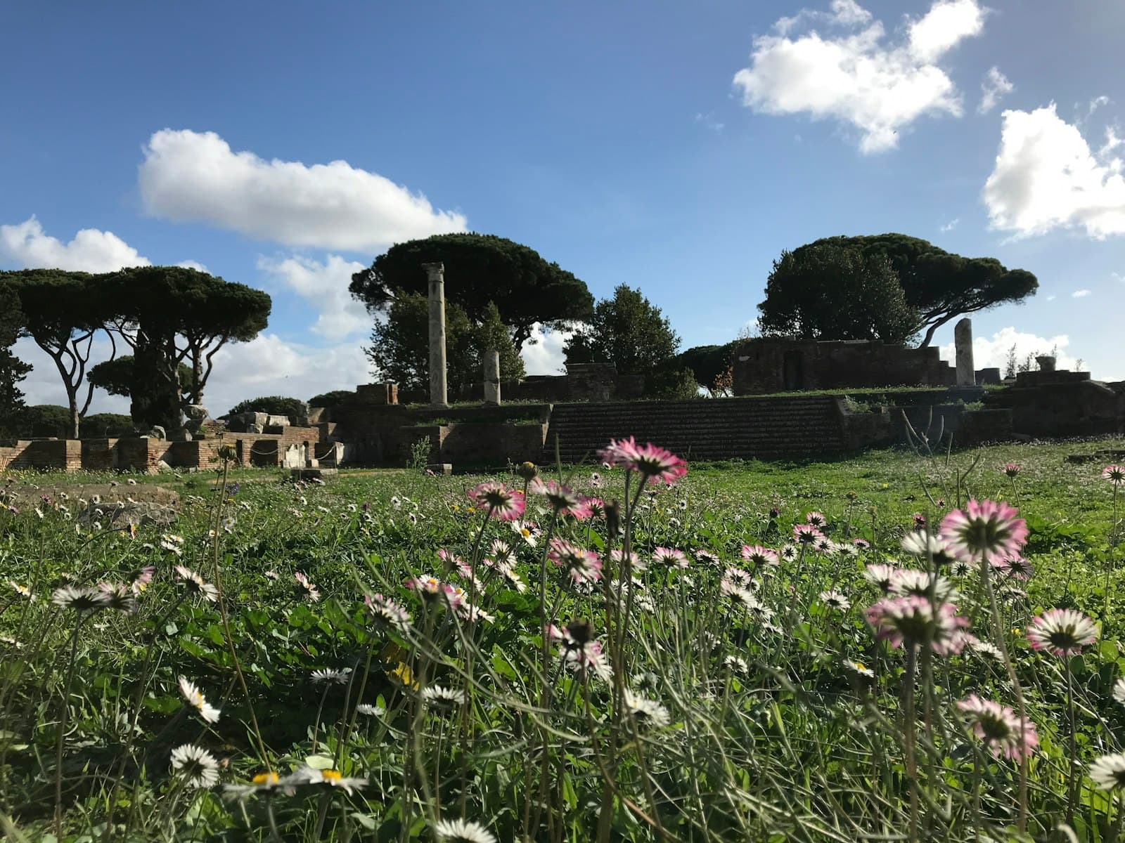 Ostia Antica — a field with flowers and trees in the background