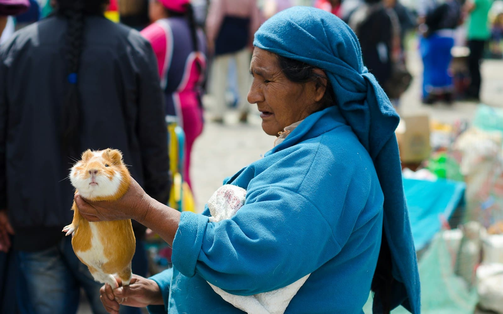 Otavalo — woman in blue robe holding white and brown dog