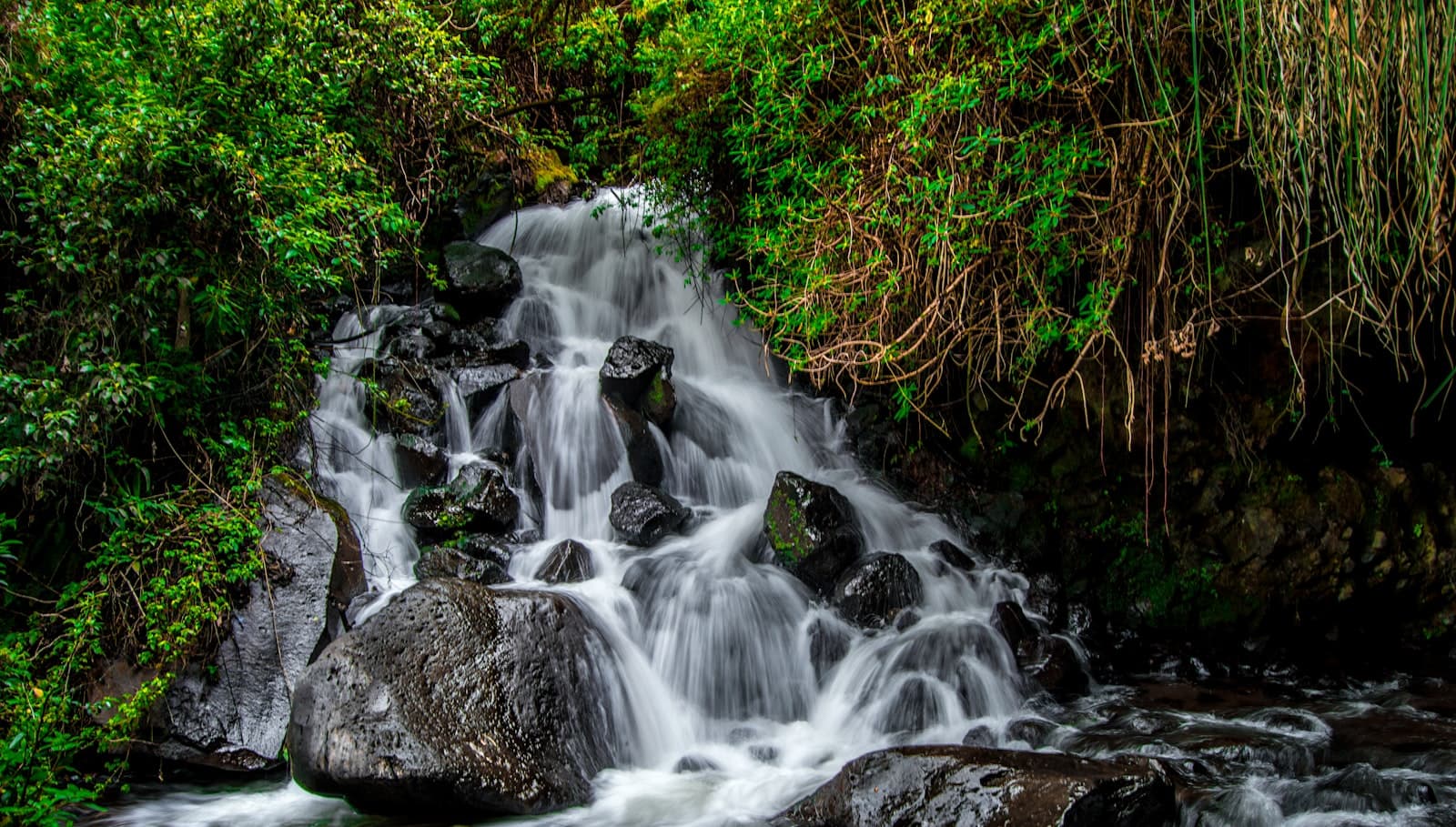 Otavalo — a waterfall in a forest