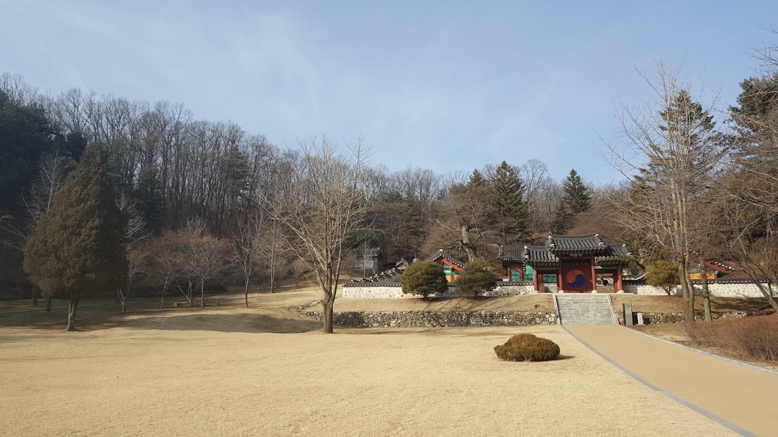 Paju — leafless tree near house