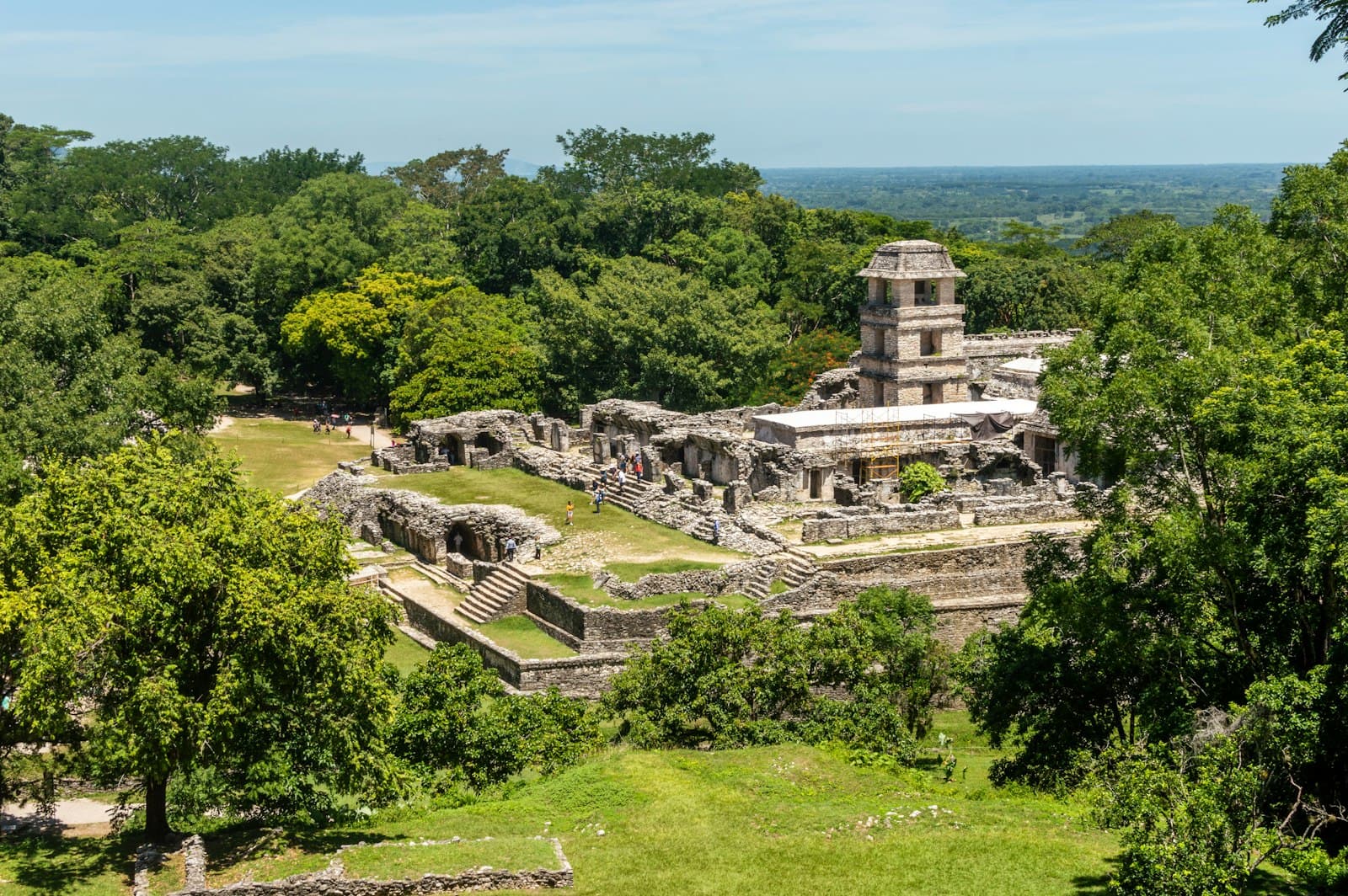 Palenque — green trees and grass field during daytime