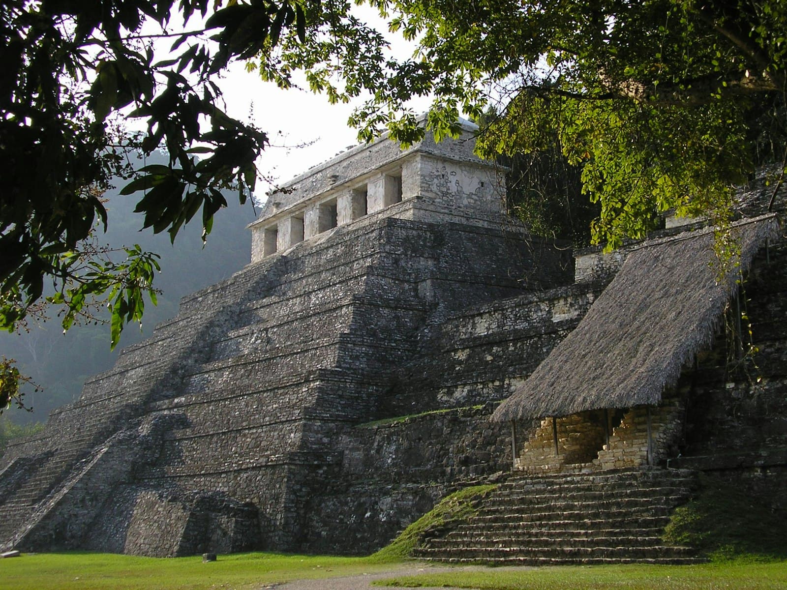 Palenque — pyramid surrounded by trees