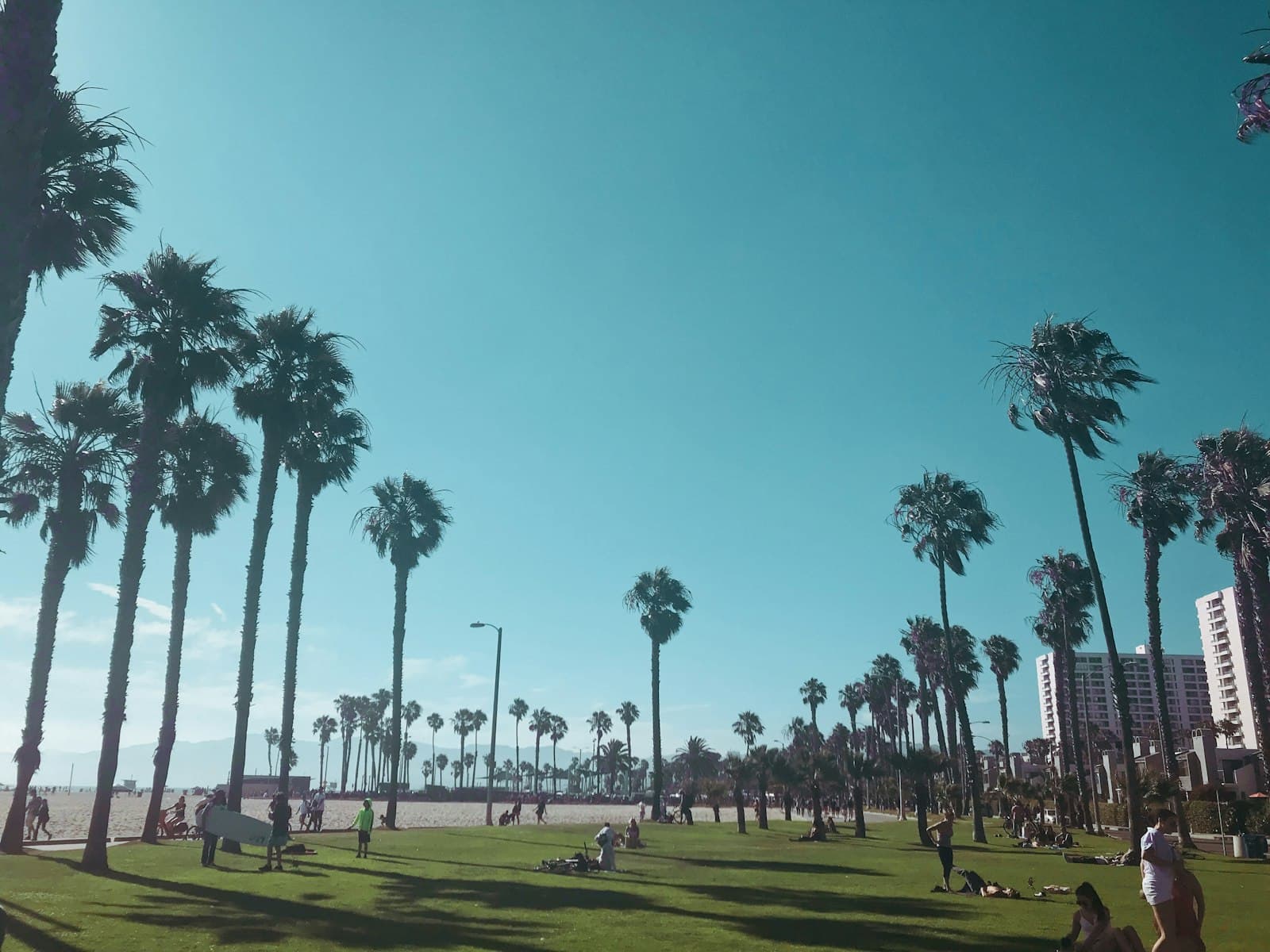 Palm Beach — people in park