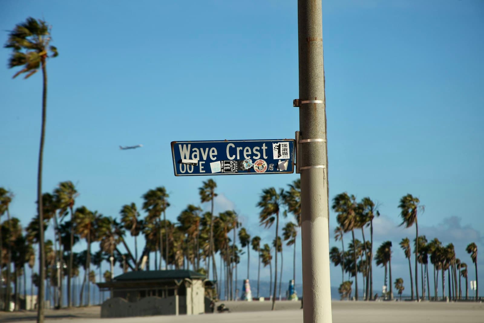 Palm Beach — a street sign on a pole with palm trees in the background