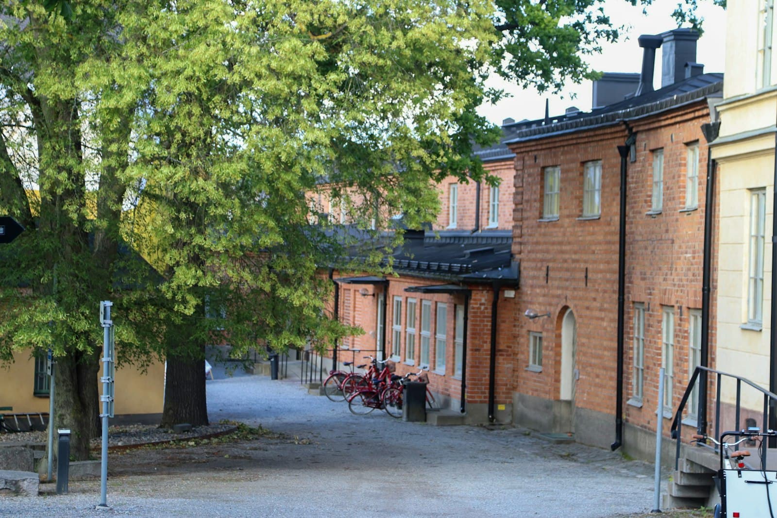 Pärnu — Buildings and a tree line a quiet street.