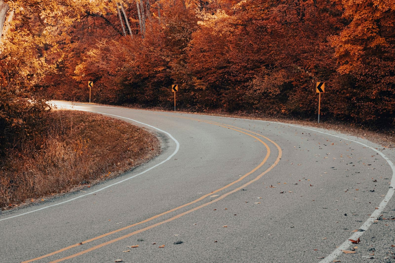 Peoria — a curve in the road surrounded by trees