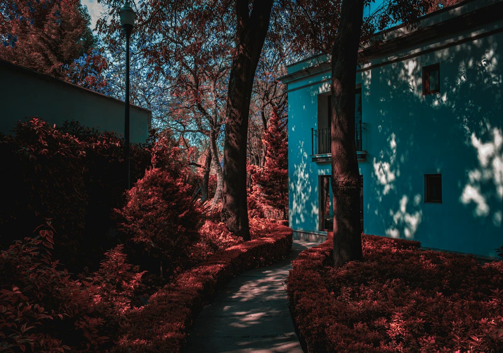 Pinos — a blue building surrounded by trees and bushes