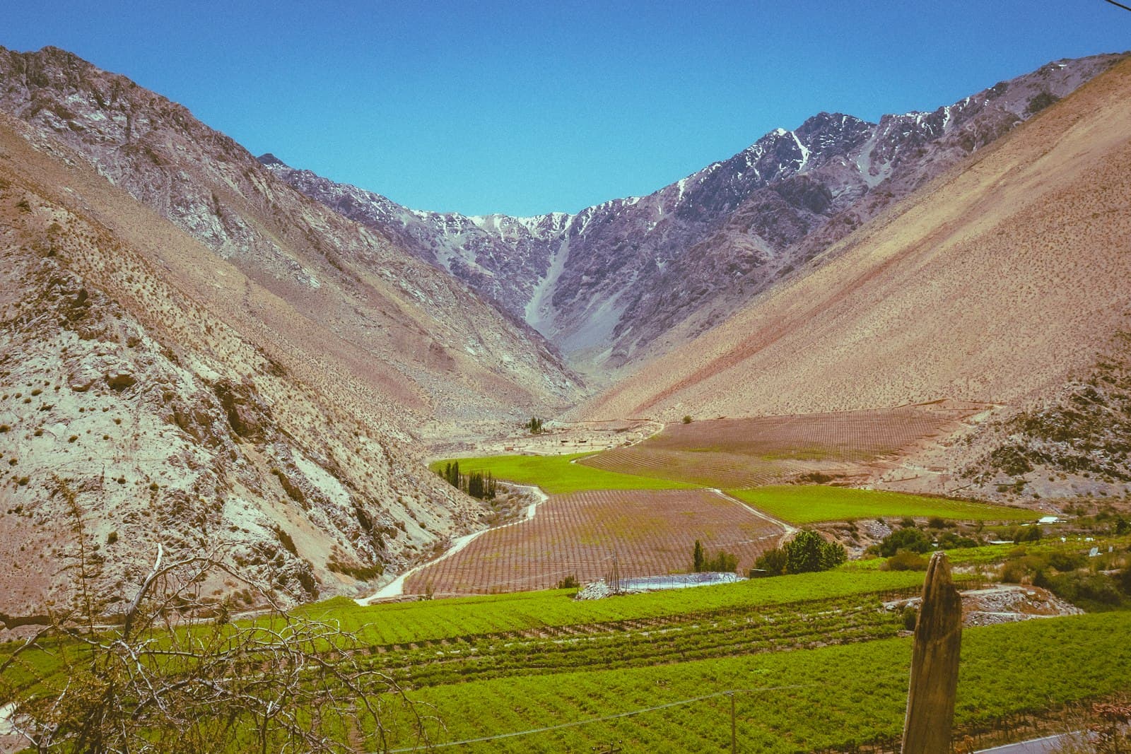 Pisco Elqui — A scenic view of a valley with mountains in the background