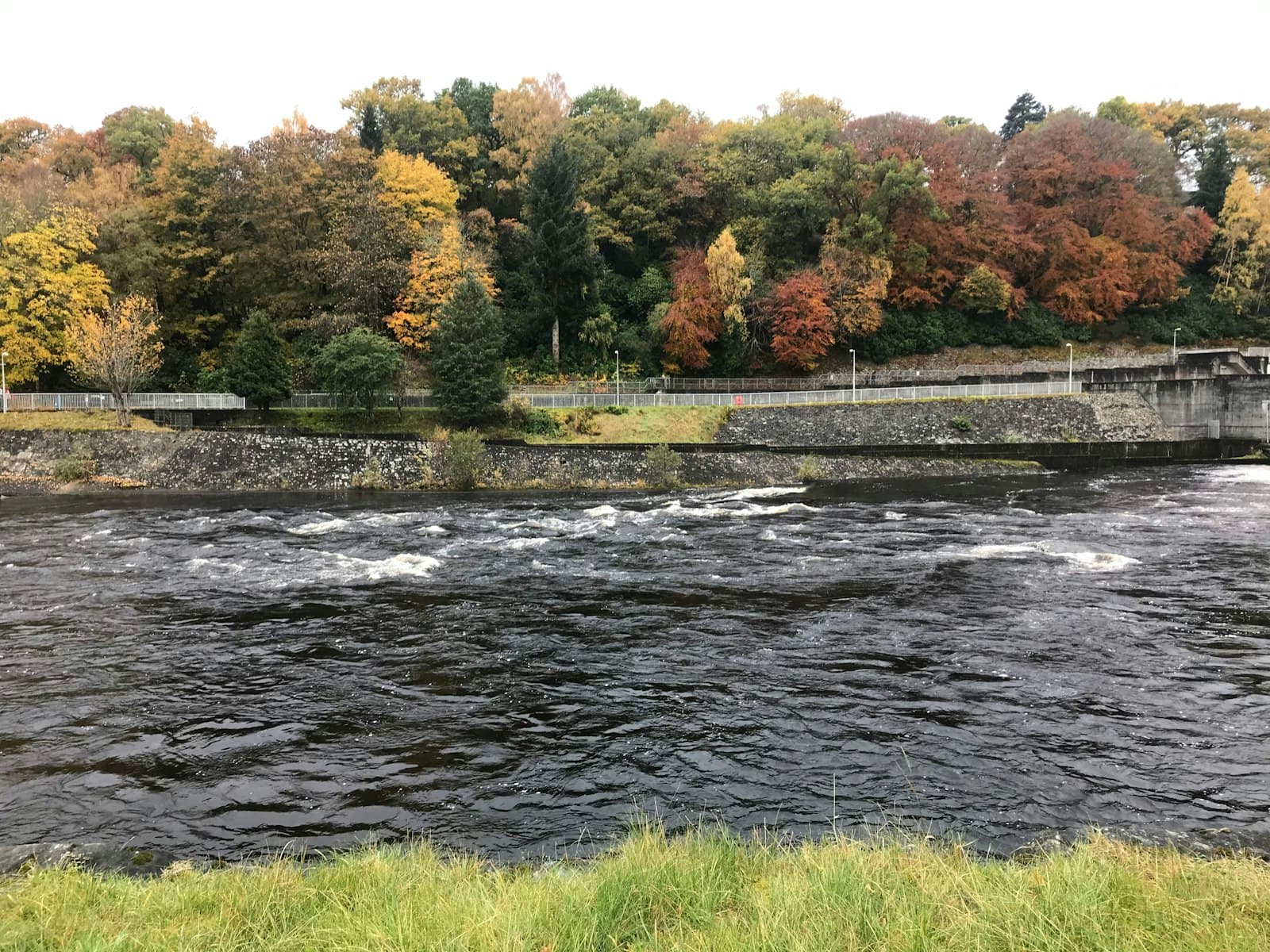 Pitlochry — green grass field near river during daytime