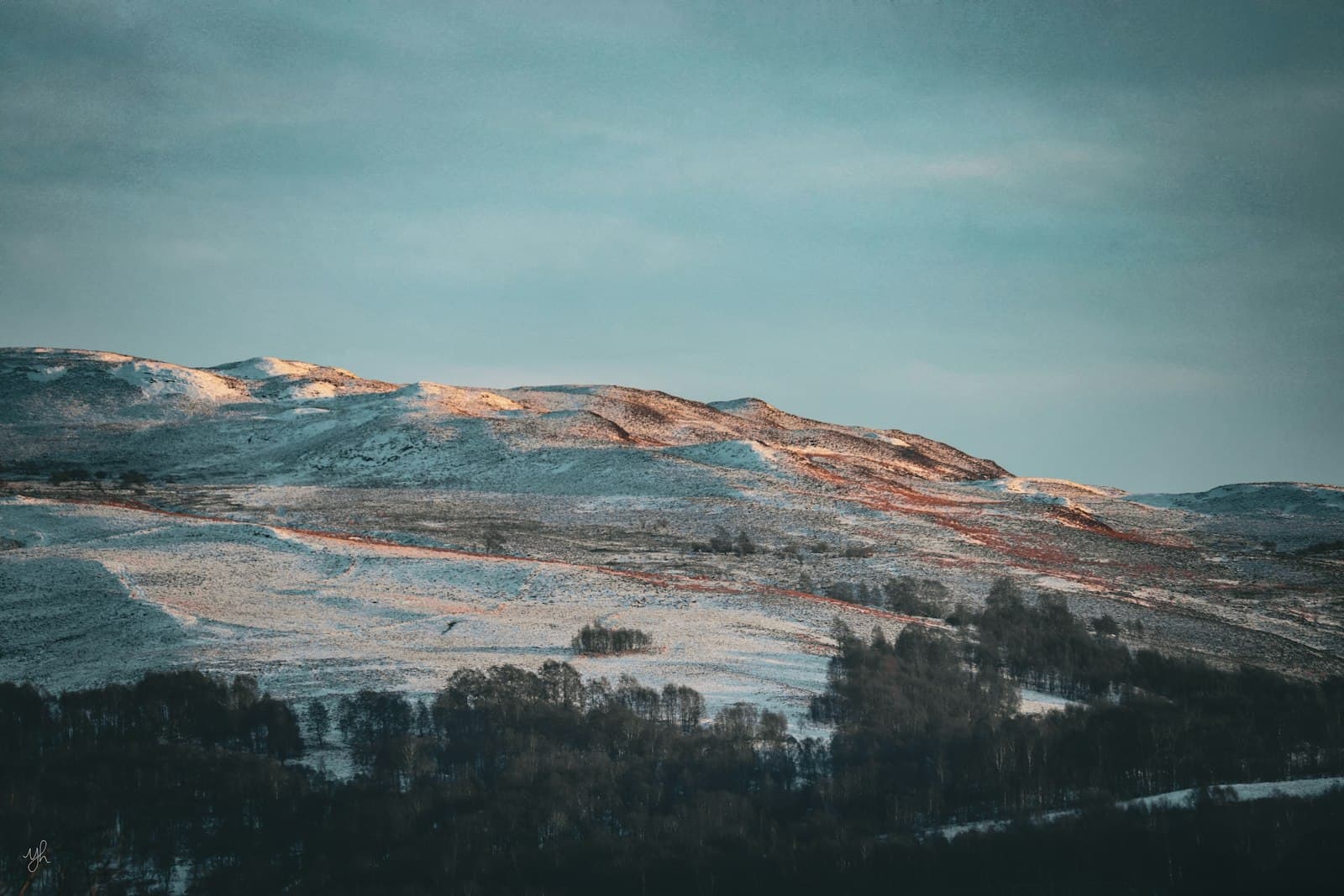 Pitlochry — a snow covered mountain with trees on the side of it