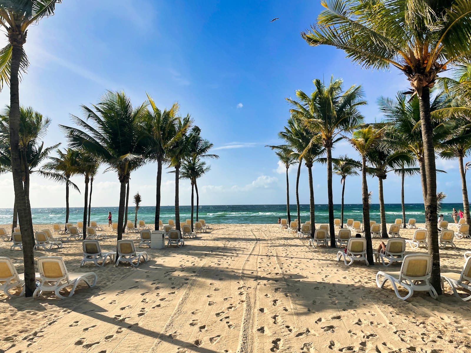 Playa del Carmen — a sandy beach lined with palm trees and lawn chairs