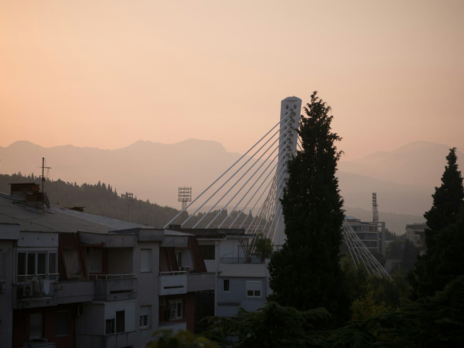 Podgorica — A bird flying over a city with a bridge in the background