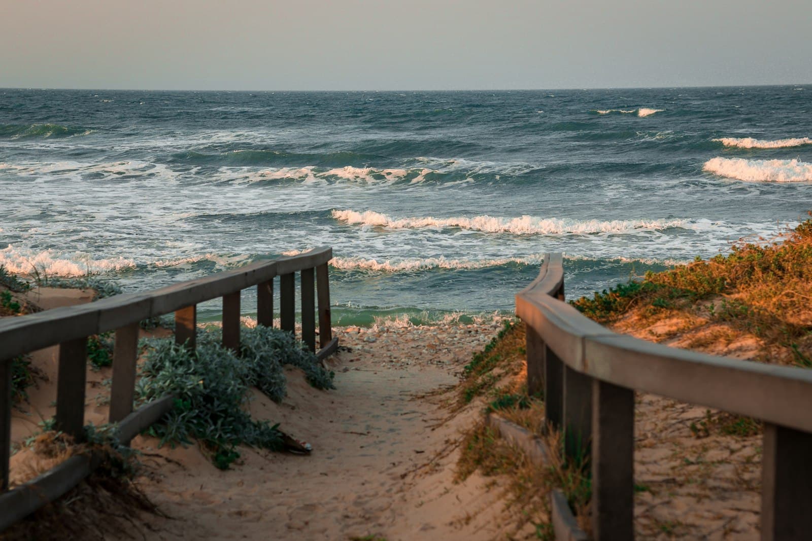 Port Elizabeth — brown wooden fence on seashore during daytime