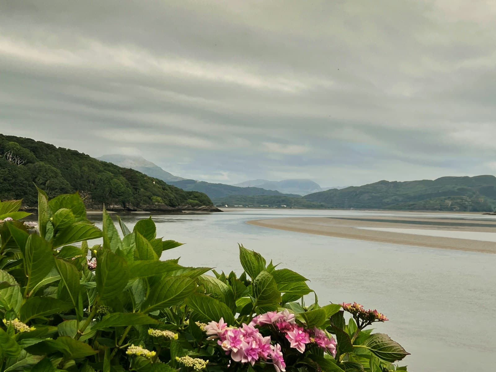 Portmeirion — A view of a body of water with flowers in the foreground