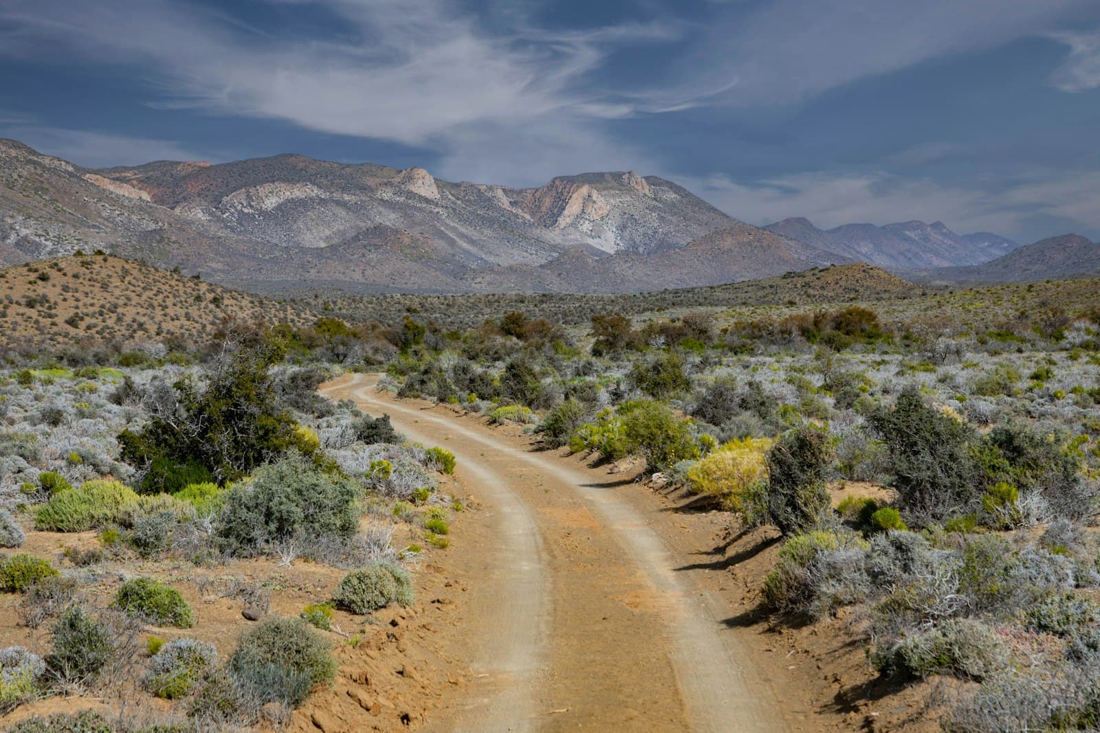 Prince Albert — A dirt road in the middle of a desert