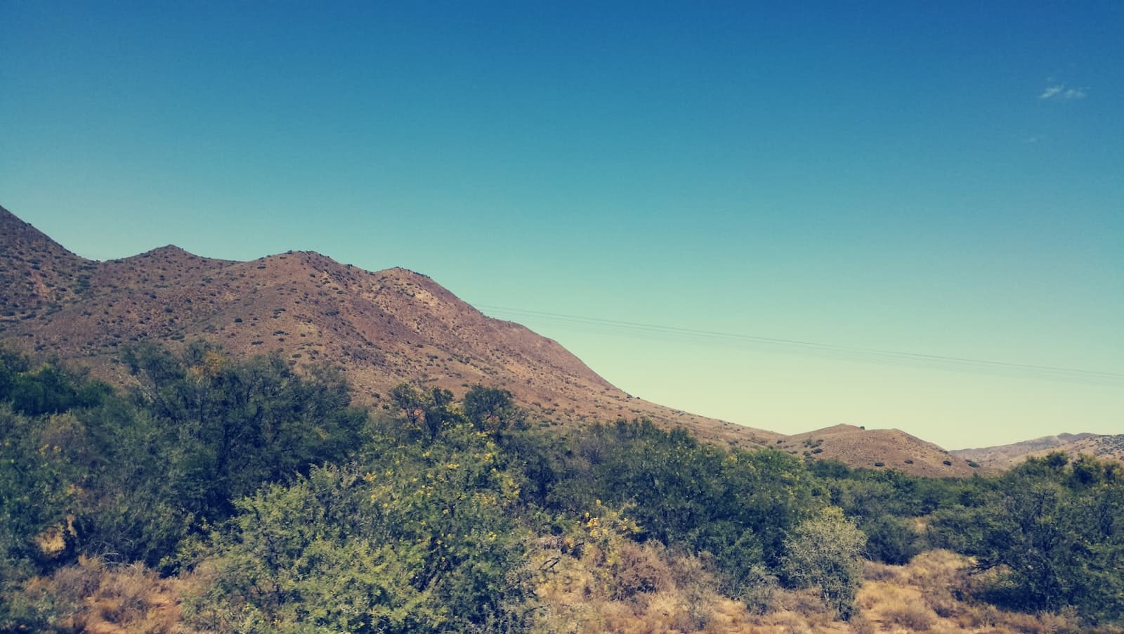 Prince Albert — green trees under blue sky