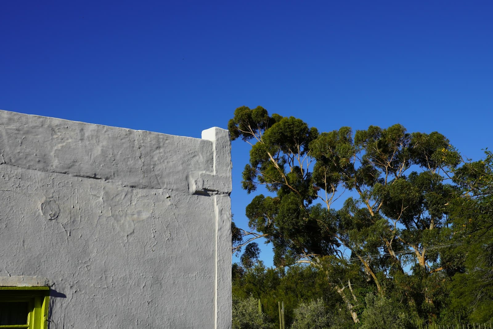 Prince Albert — a building with a green door and trees in the background