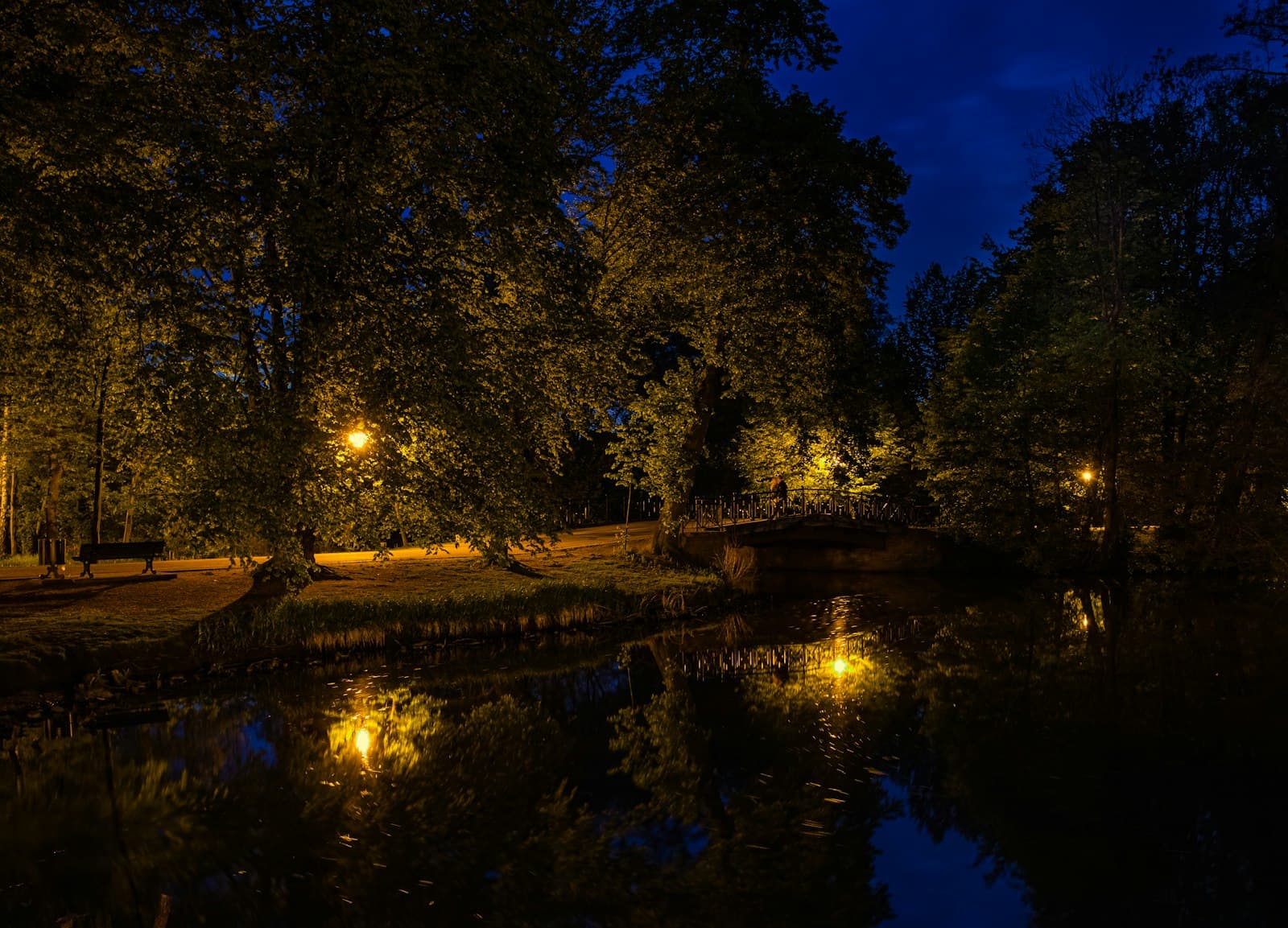 Pszczyna — trees near body of water during night time