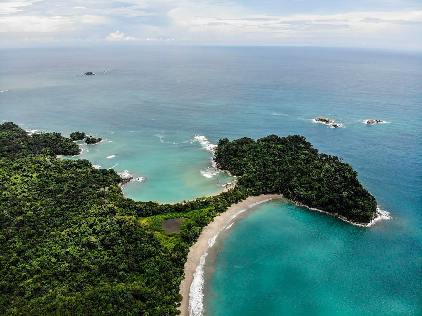 Puerto Jiménez — green trees beside blue sea