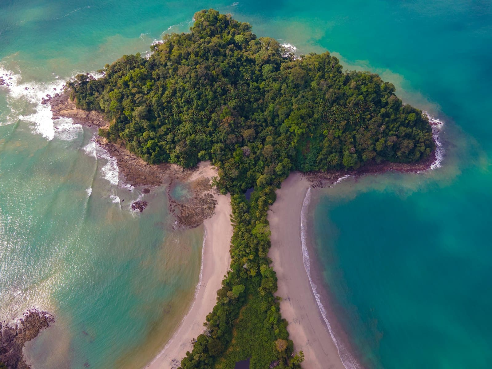 Puerto Viejo — aerial view of green trees near body of water during daytime