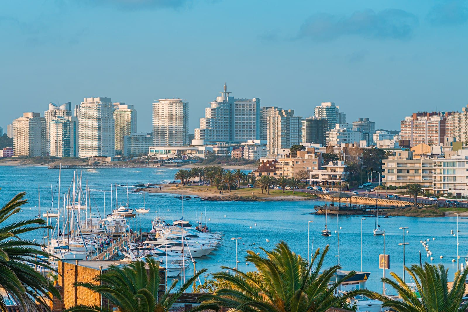 Punta del Este — a view of a city with boats in the water