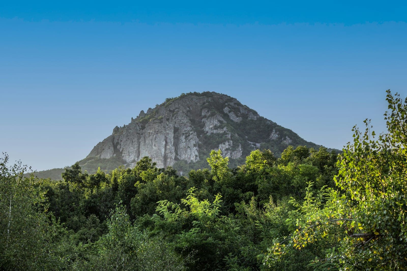 Pyatigorsk — a view of a mountain through the trees