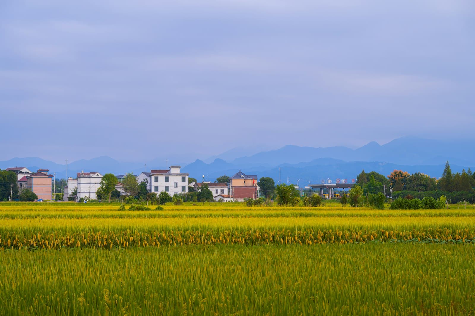 Quzhou — a large field of green grass with houses in the background