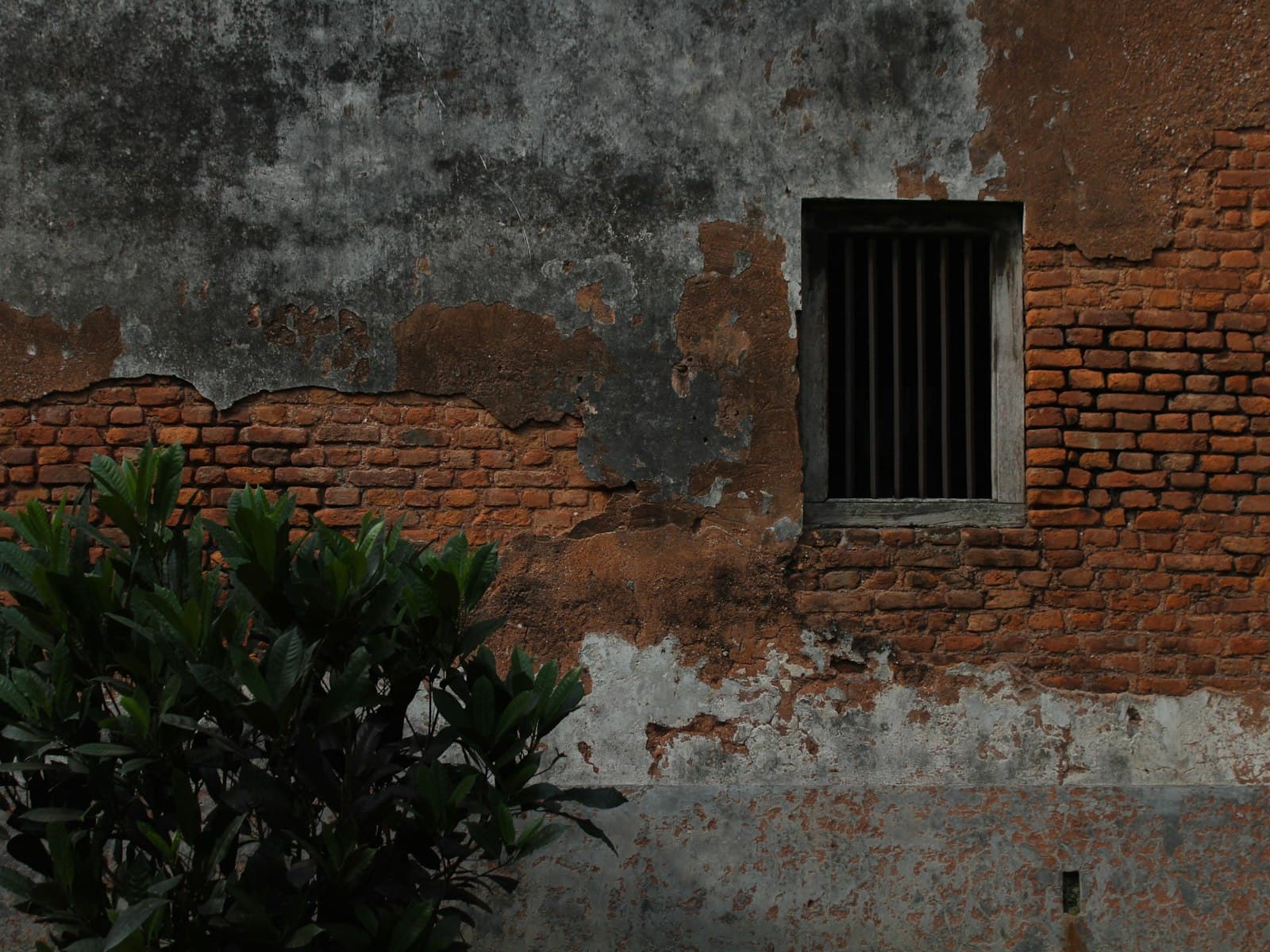 Rangpur — a brick wall with a window and a plant in front of it