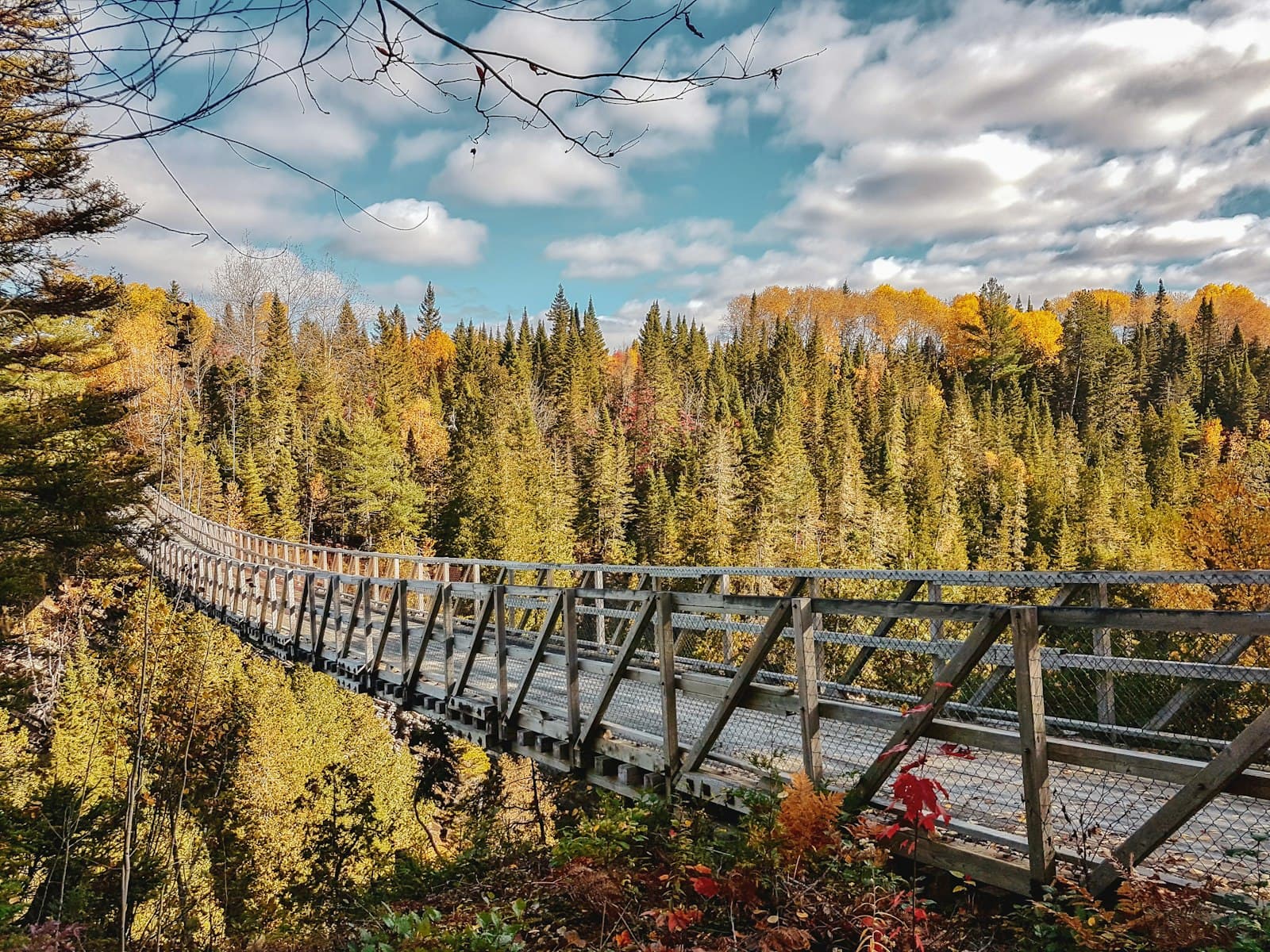 Rimouski — gray wooden bridge surrounded by trees