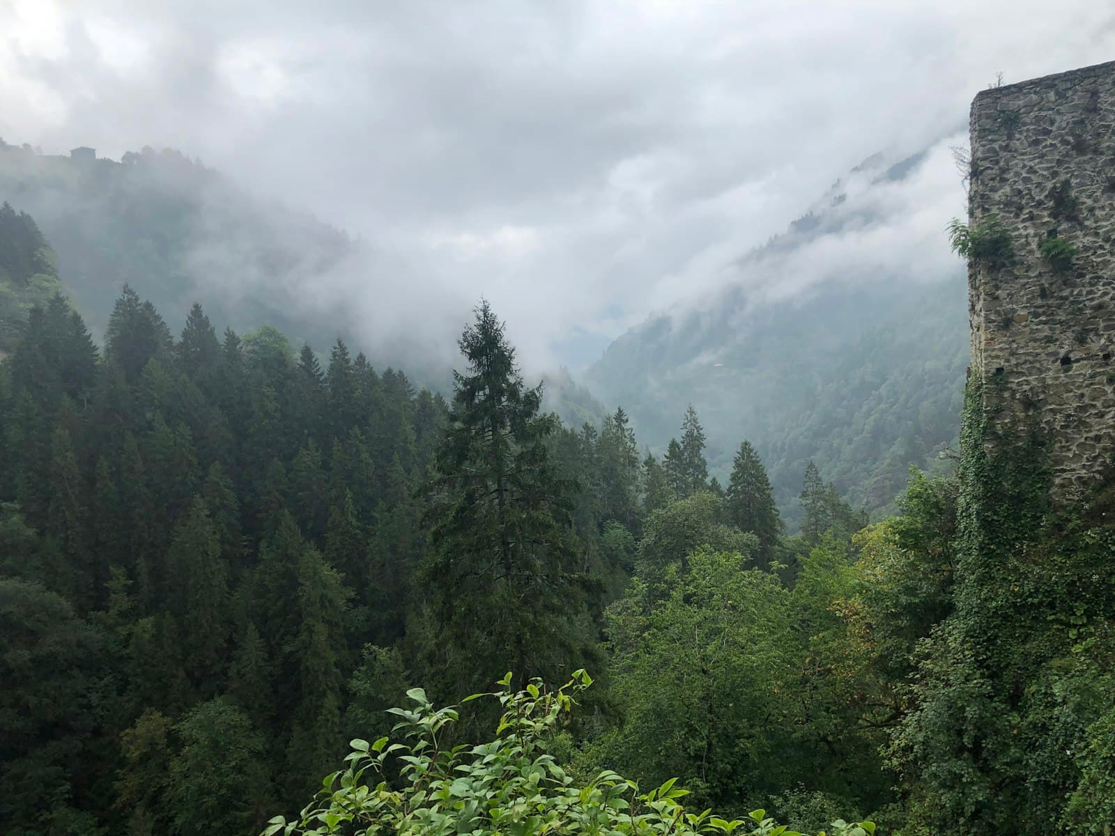 Rize — green trees on mountain under white clouds during daytime