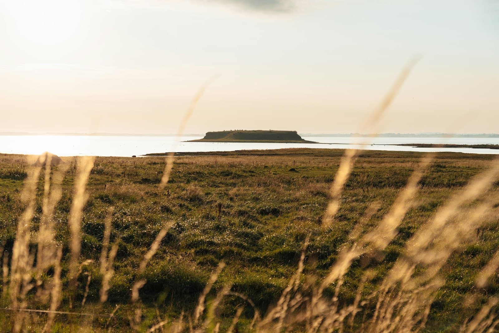Roskilde — a grassy field with a small island in the distance