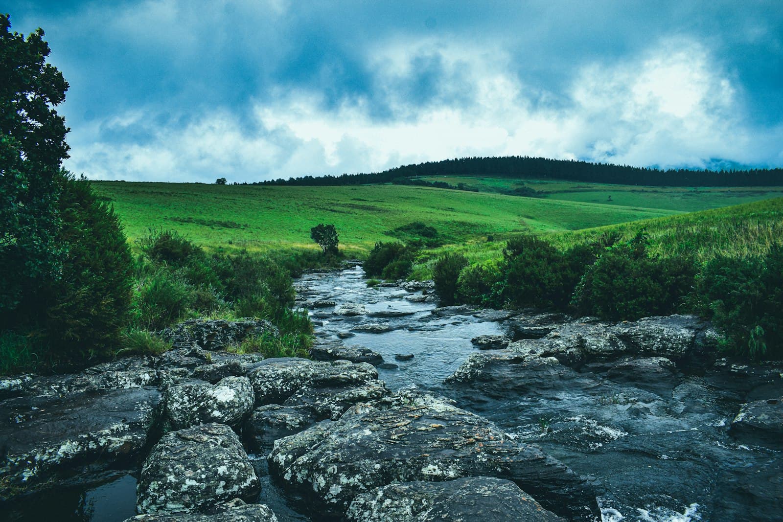 Sabie — a river running through a lush green countryside
