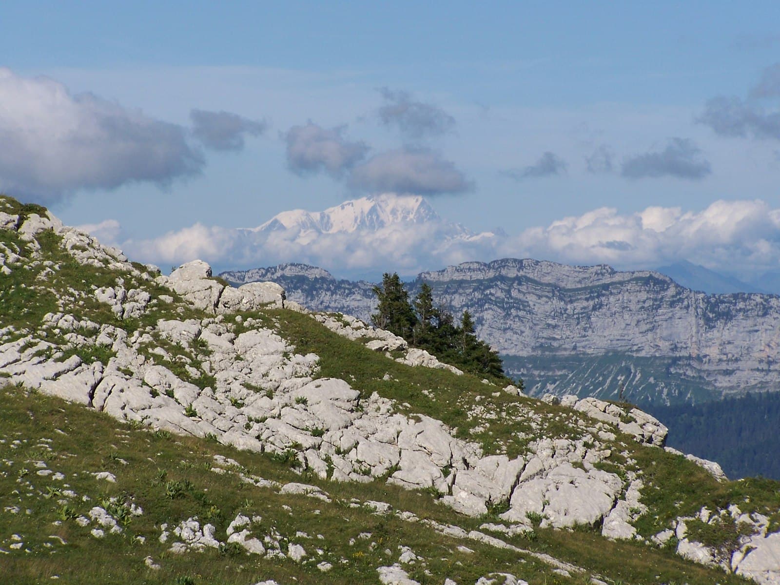 Saint-Pierre — a view of a mountain range with a few trees on it