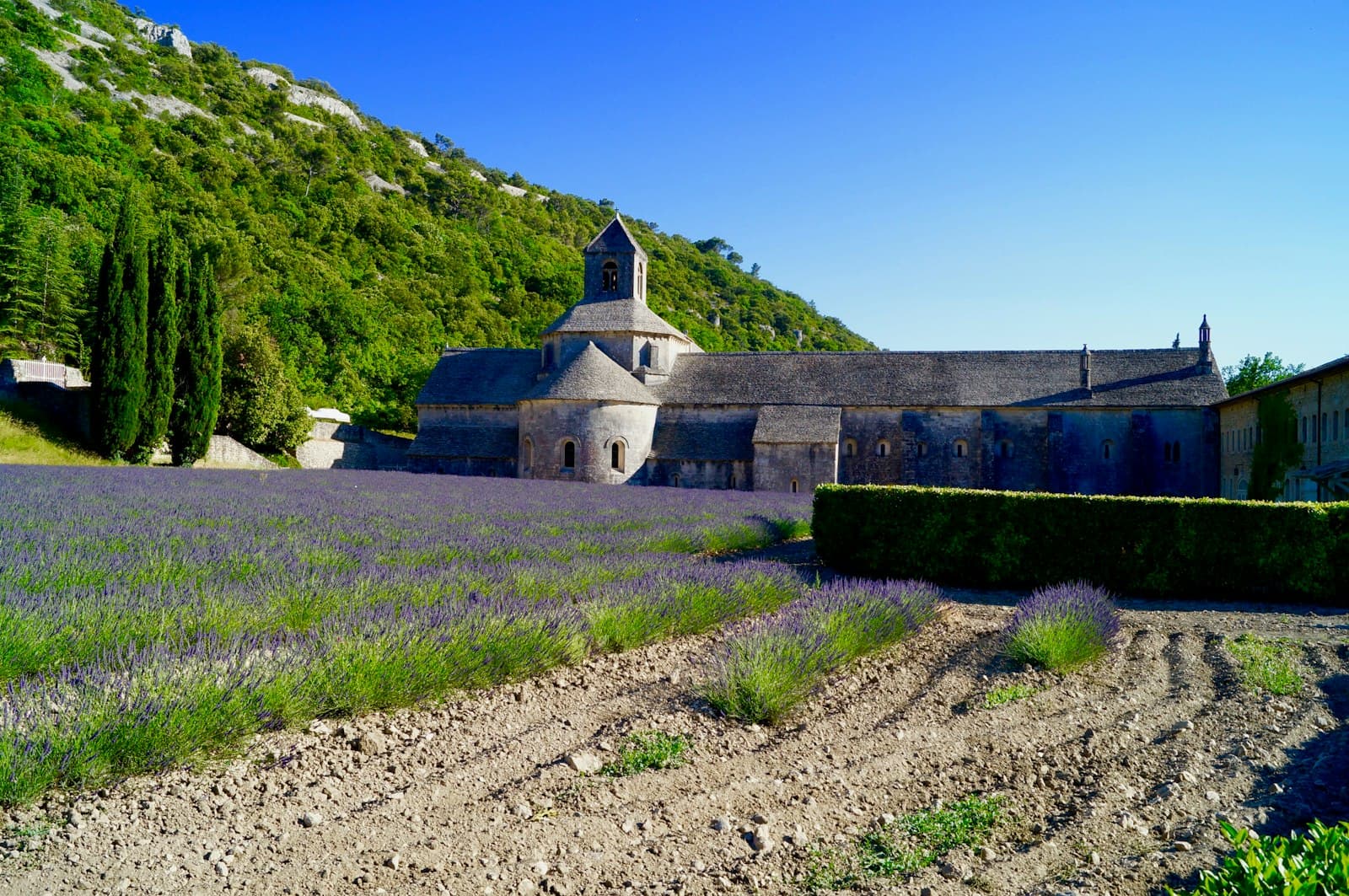 Saint-Rémy-de-Provence — grey church building in foot of hill