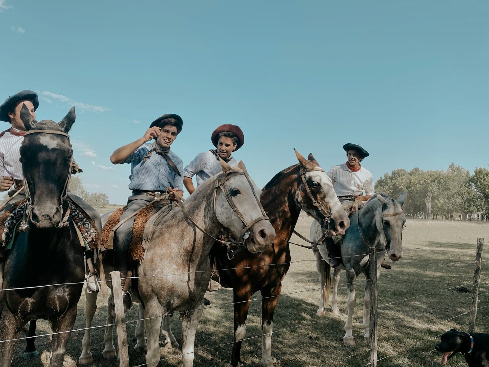 San Antonio de Areco — people riding horses on green grass field during daytime