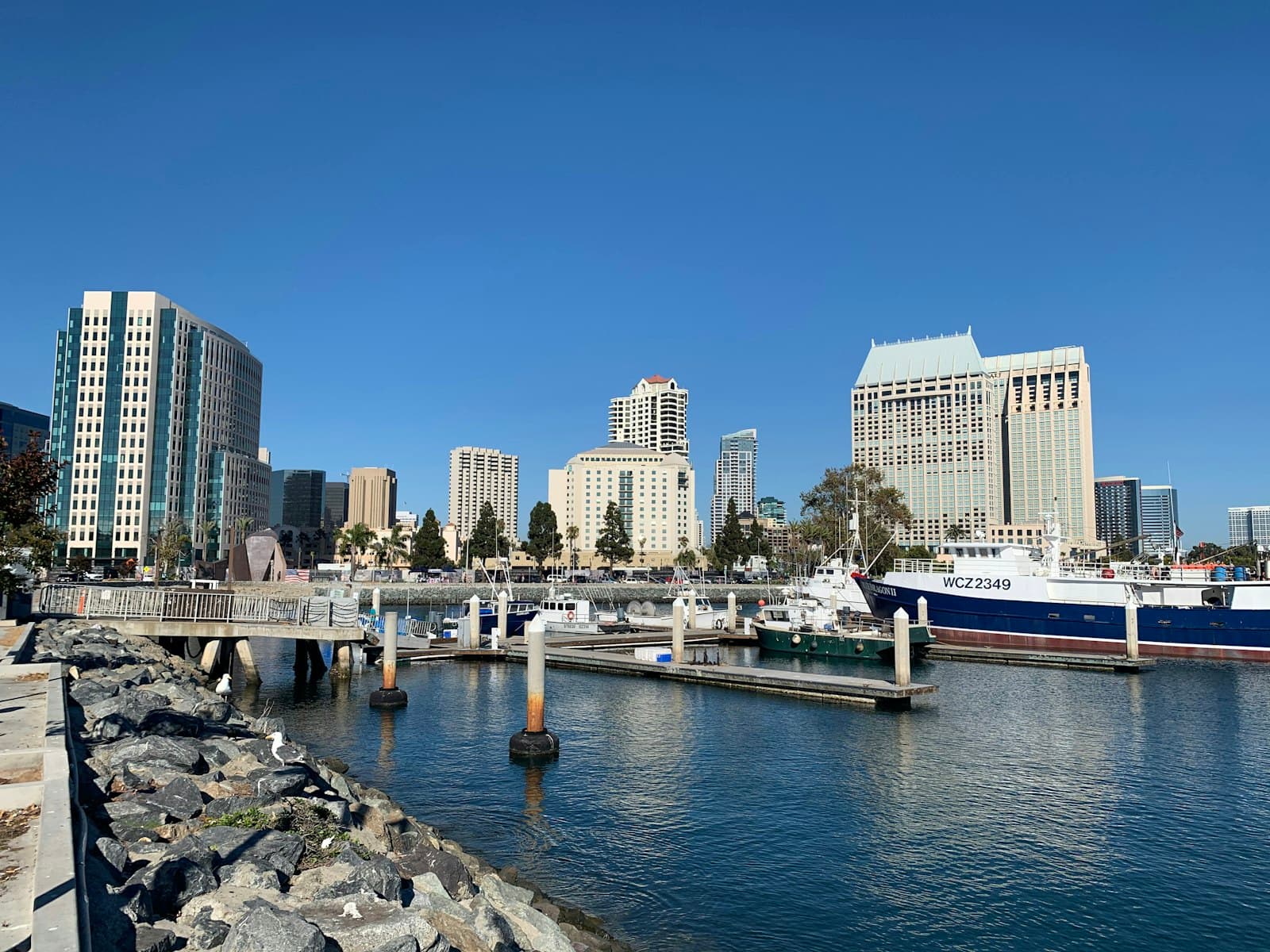 San Diego — white and blue boat on sea near city buildings during daytime